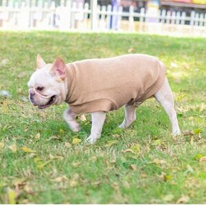 🎄5/$30🎄NEW with Tags Dog Fleece Sweatshirt